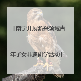 南宁开展新兴领域青年子女非遗研学活动