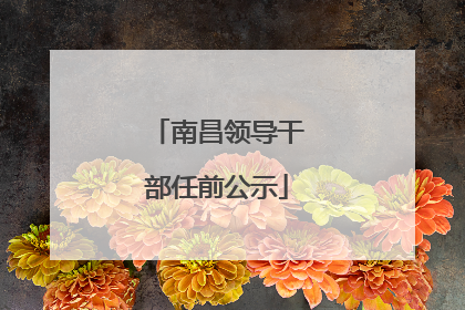 南昌领导干部任前公示