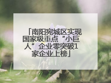 南阳宛城区实现国家级重点“小巨人”企业零突破1家企业上榜