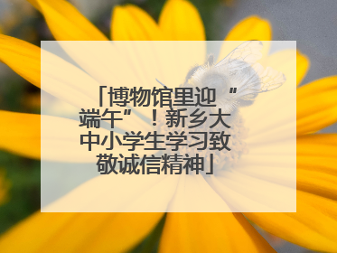 博物馆里迎“端午”！新乡大中小学生学习致敬诚信精神