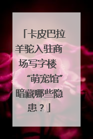 卡皮巴拉羊驼入驻商场写字楼 “萌宠馆”暗藏哪些隐患？
