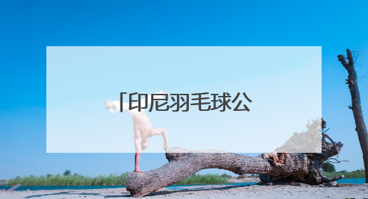 印尼羽毛球公开赛｜高昉洁晋级女单八强