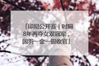 印尼公开赛｜时隔8年再夺女双冠军，国羽一金一银收官