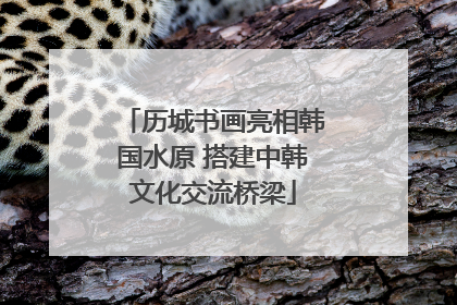 历城书画亮相韩国水原 搭建中韩文化交流桥梁