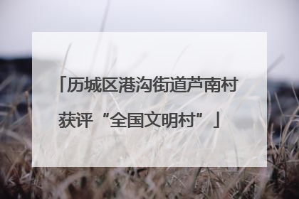 历城区港沟街道芦南村获评“全国文明村”