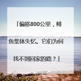 偏移800公里，鲱鱼集体失忆。它们为何找不到回家的路？