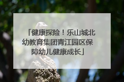 健康探险！乐山城北幼教育集团青江园区保障幼儿健康成长