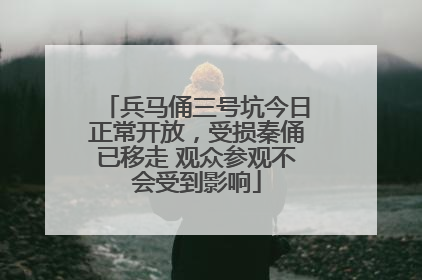 兵马俑三号坑今日正常开放，受损秦俑已移走 观众参观不会受到影响