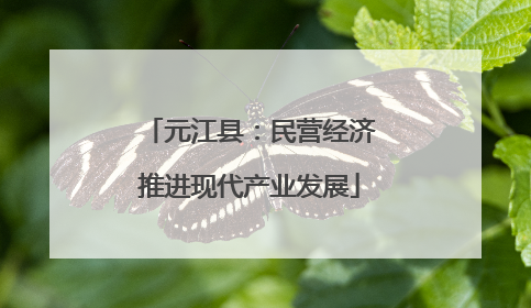 元江县：民营经济推进现代产业发展