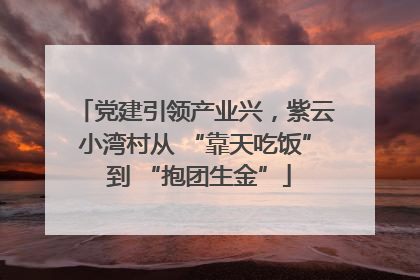 党建引领产业兴，紫云小湾村从 “靠天吃饭” 到 “抱团生金”