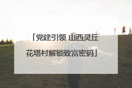 党建引领 山西灵丘花塔村解锁致富密码