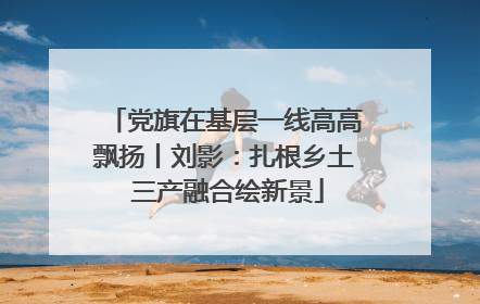 党旗在基层一线高高飘扬丨刘影：扎根乡土 三产融合绘新景