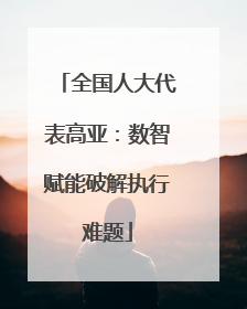 全国人大代表高亚：数智赋能破解执行难题