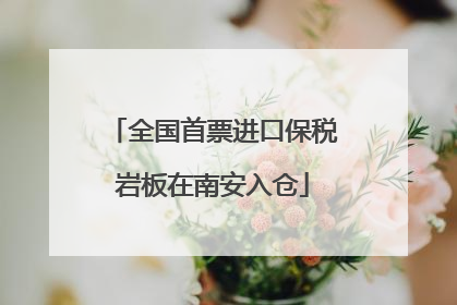 全国首票进口保税岩板在南安入仓