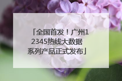 全国首发！广州12345热线大数据系列产品正式发布