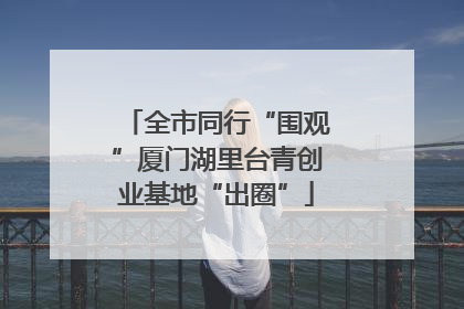 全市同行“围观”厦门湖里台青创业基地“出圈”
