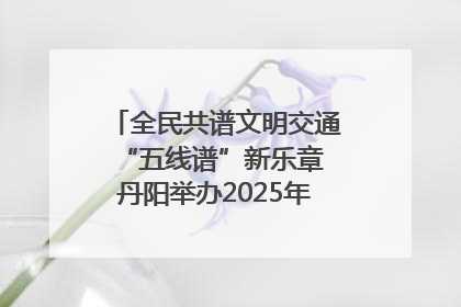 全民共谱文明交通“五线谱”新乐章 丹阳举办2025年“文明交通 同心同行”主题宣传活动