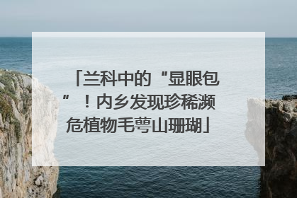 兰科中的“显眼包”！内乡发现珍稀濒危植物毛萼山珊瑚