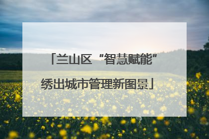 兰山区“智慧赋能”绣出城市管理新图景