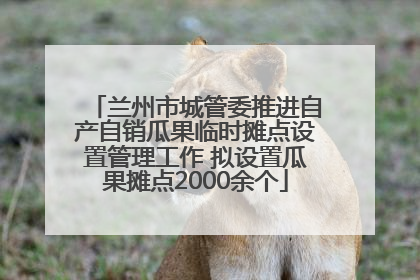 兰州市城管委推进自产自销瓜果临时摊点设置管理工作 拟设置瓜果摊点2000余个