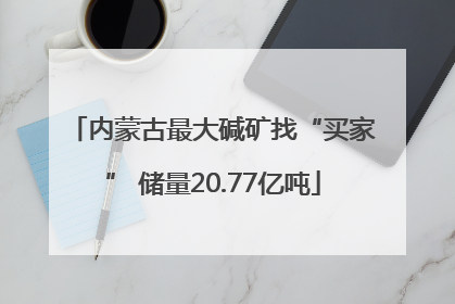 内蒙古最大碱矿找“买家” 储量20.77亿吨