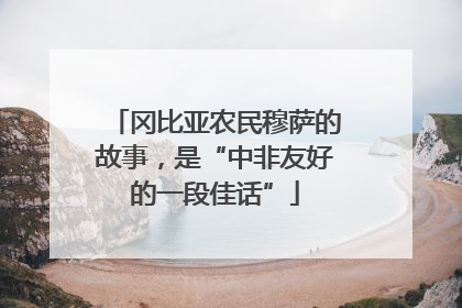 冈比亚农民穆萨的故事，是“中非友好的一段佳话”