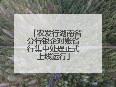 农发行湖南省分行银企对账省行集中处理正式上线运行