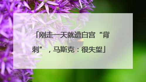 刚走一天就遭白宫“背刺”，马斯克：很失望