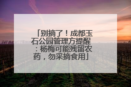 别摘了！成都玉石公园管理方提醒：杨梅可能残留农药，勿采摘食用