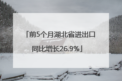 前5个月湖北省进出口同比增长26.9%