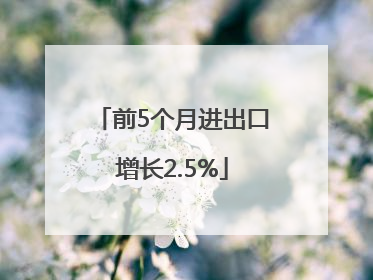前5个月进出口增长2.5%