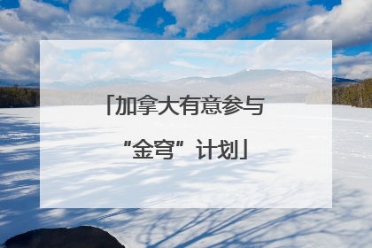 加拿大有意参与“金穹”计划