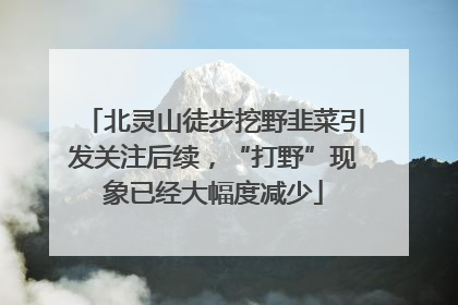 北灵山徒步挖野韭菜引发关注后续，“打野”现象已经大幅度减少