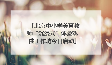 北京中小学美育教师“沉浸式”体验戏曲工作坊今日启动