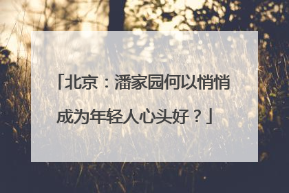 北京：潘家园何以悄悄成为年轻人心头好？