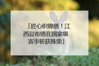 匠心织锦绣！江西夏布绣在国家级赛事斩获殊荣