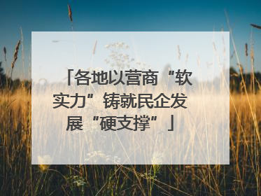 各地以营商“软实力”铸就民企发展“硬支撑”
