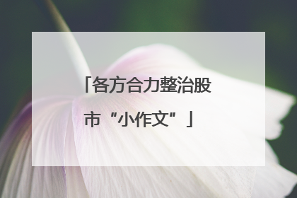 各方合力整治股市“小作文”