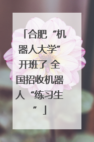 合肥“机器人大学”开班了 全国招收机器人“练习生”