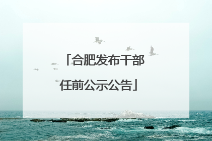 合肥发布干部任前公示公告