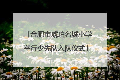 合肥市琥珀名城小学举行少先队入队仪式