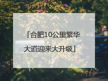 合肥10公里繁华大道迎来大升级