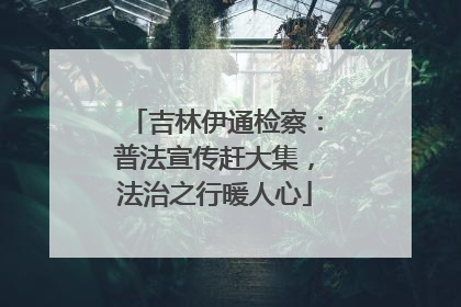 吉林伊通检察：普法宣传赶大集，法治之行暖人心