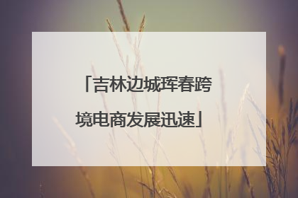 吉林边城珲春跨境电商发展迅速