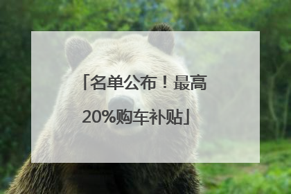 名单公布！最高20%购车补贴