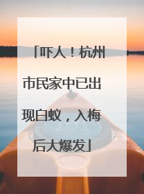 吓人！杭州市民家中已出现白蚁，入梅后大爆发