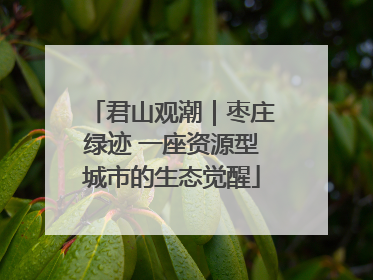 君山观潮｜枣庄绿迹 一座资源型城市的生态觉醒