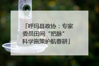 呼玛县政协：专家委员田间“把脉” 科学施策护航春耕
