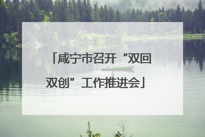 咸宁市召开“双回双创”工作推进会