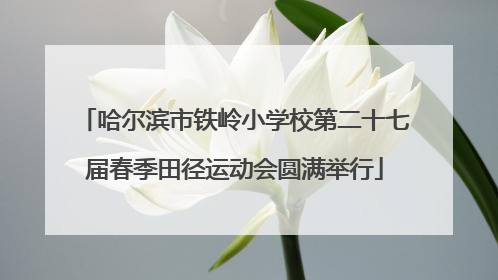 哈尔滨市铁岭小学校第二十七届春季田径运动会圆满举行